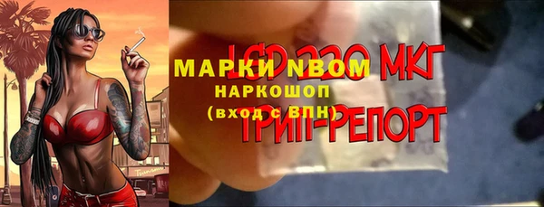 молекула духа Строитель