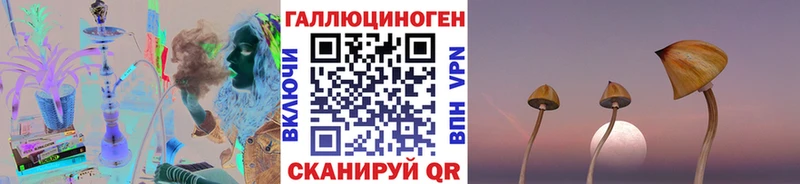 Псилоцибиновые грибы Cubensis  Белёв 